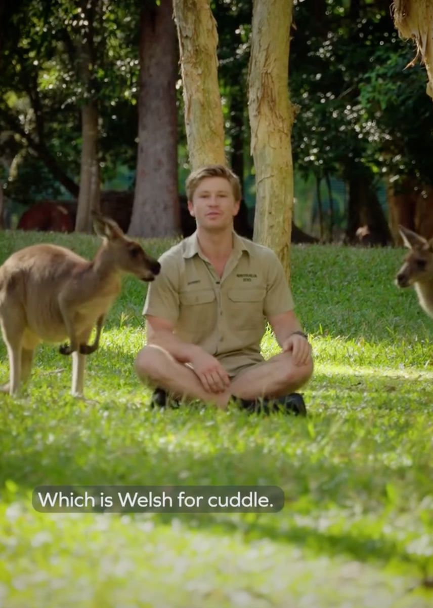 The chosen name was Cwtch, a Welsh word meaning "cuddle" or "hug", pronounced approximately as "kutch". The name carries a direct connection to their family’s titles, as their parents are the Prince and Princess of Wales.
