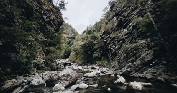Gold mine on conservation land in Golden Bay denied permit