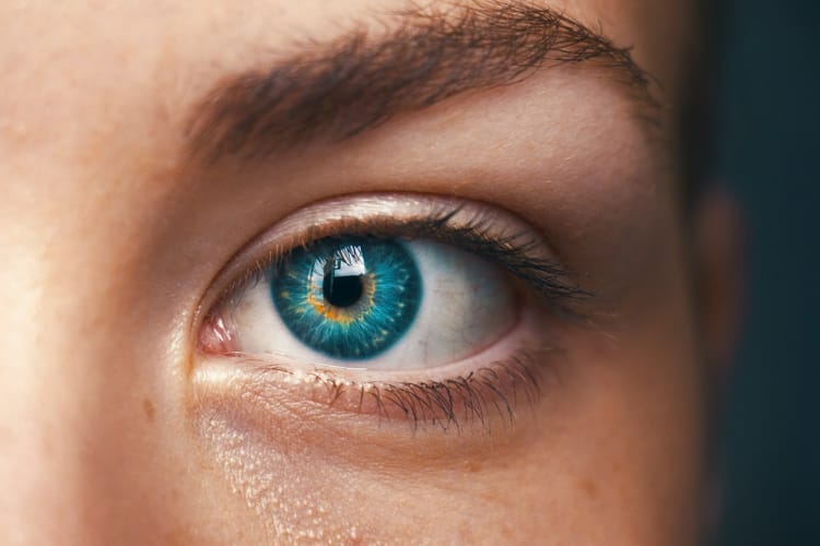 AI Chatbots and Humans Fooled by Fake Eye Disease