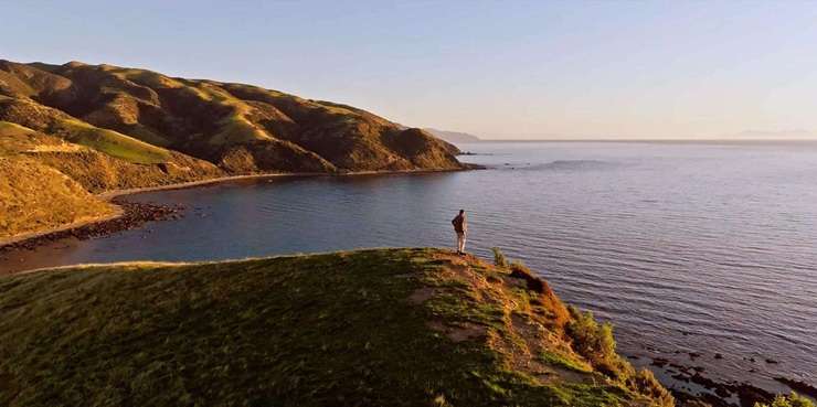 A 742ha coastal farm in Porirua with four dwellings and its own private beach has sold for an undisclosed price. Photo / Supplied
