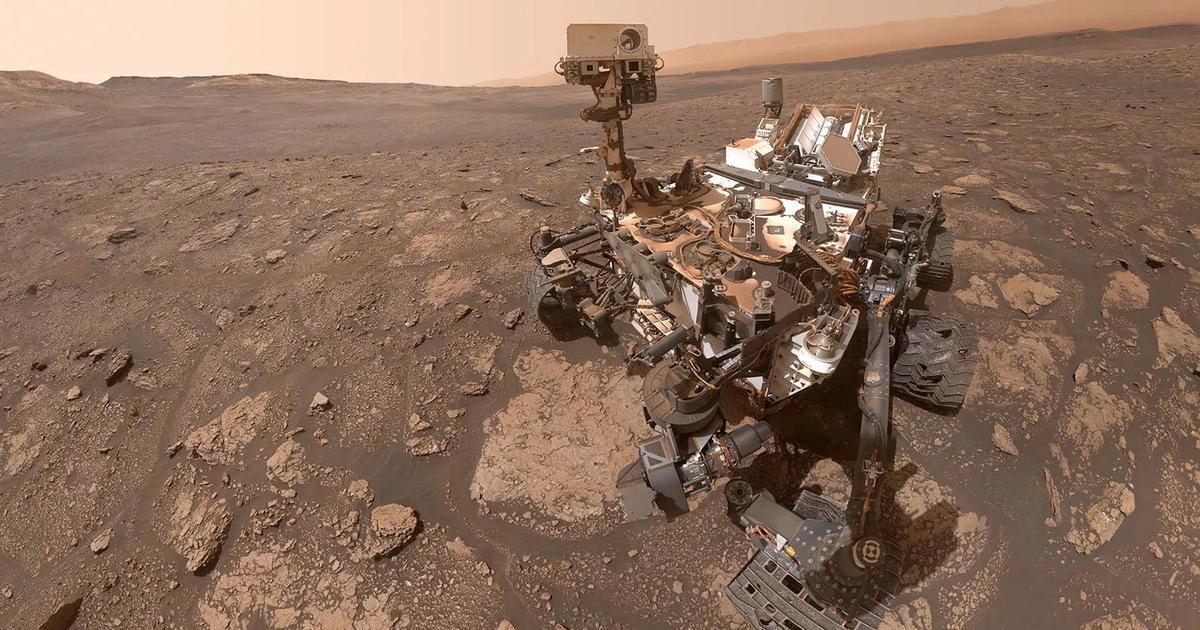 Fungal strains in space spark worry