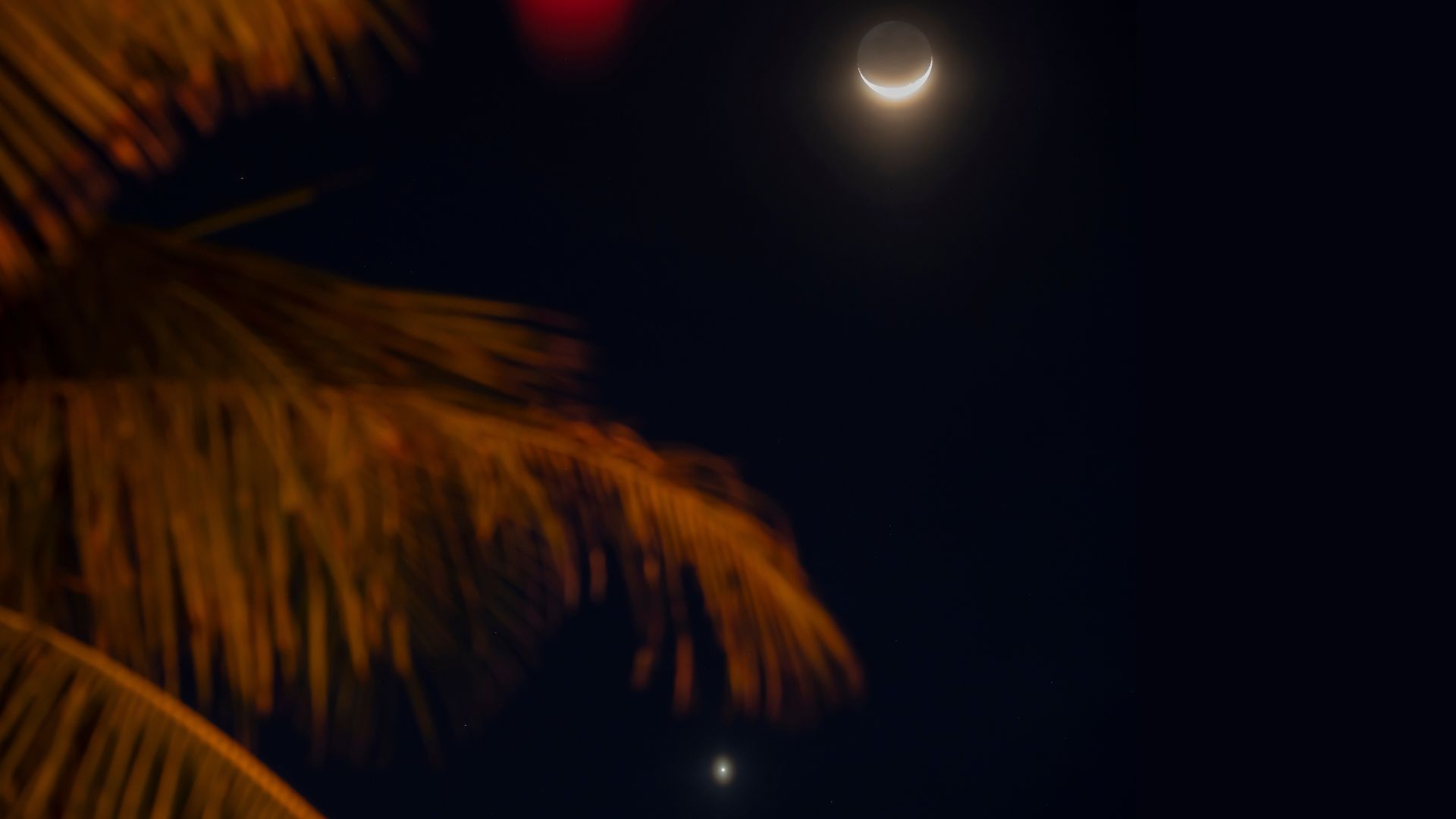 An upturned crescent moon glows in a dark sky with palm fronds visible to the left of the screen in the foreground.