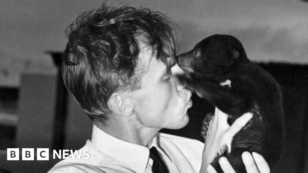 Attenborough at 100: The region where Sir David 'learned to love wildlife' - BBC