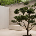 © Timothy Kaye Fairlie Wellness Centre / Wood Marsh - Exterior Photography, Garden, Concrete, Courtyard