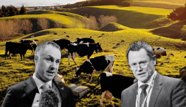 Farmers should be paid to use methane-busting tools – agritech leaders
