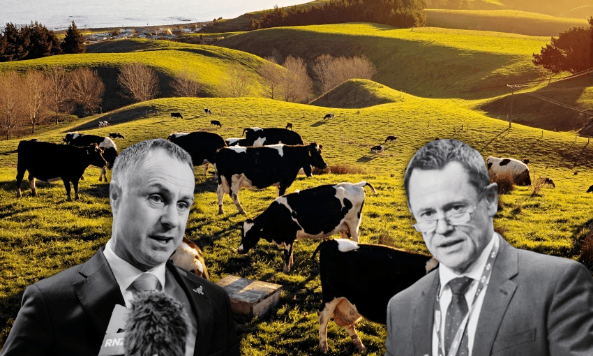 Farmers should be paid to use methane-busting tools – agritech leaders