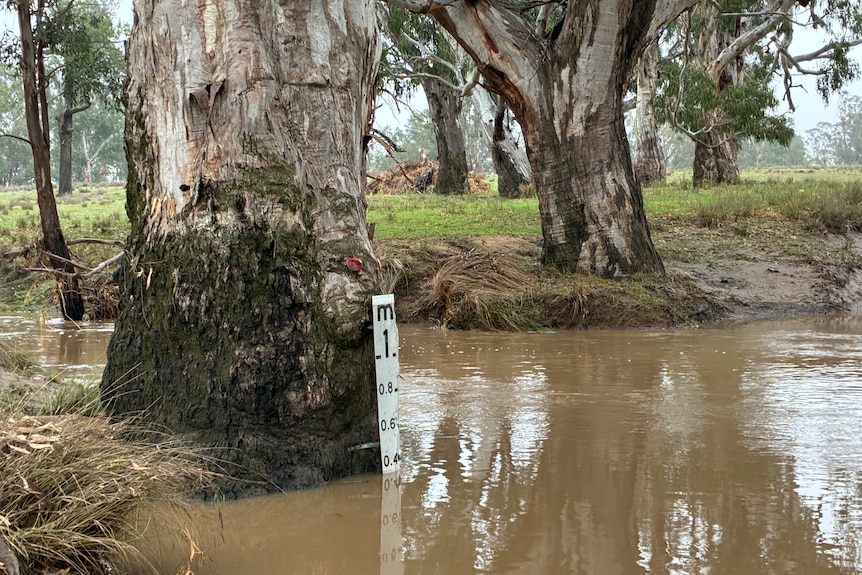 A flood marker on a causeway up just below 0.4 metres.
