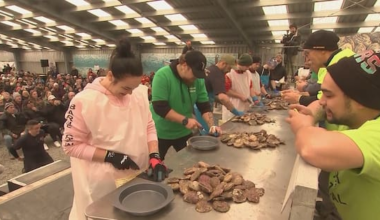 Fears this year's Bluff oyster festival could be the last
