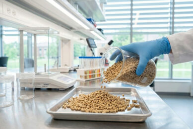 Researchers believe that Nitroxoline could represent a realistic alternative to traditional antibiotics in commercial poultry systems. Image created by AI