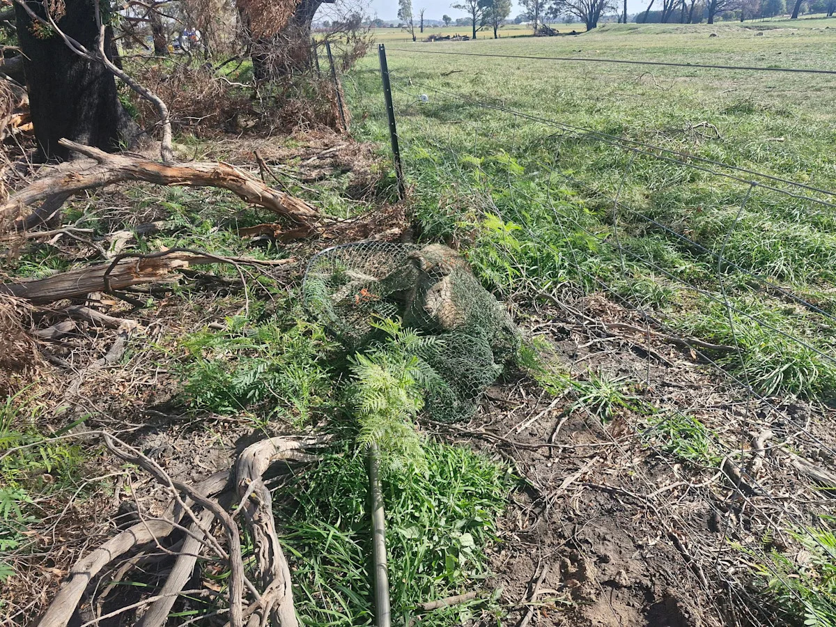 Photo exposes huge oversight as new fencing installed on Aussie property