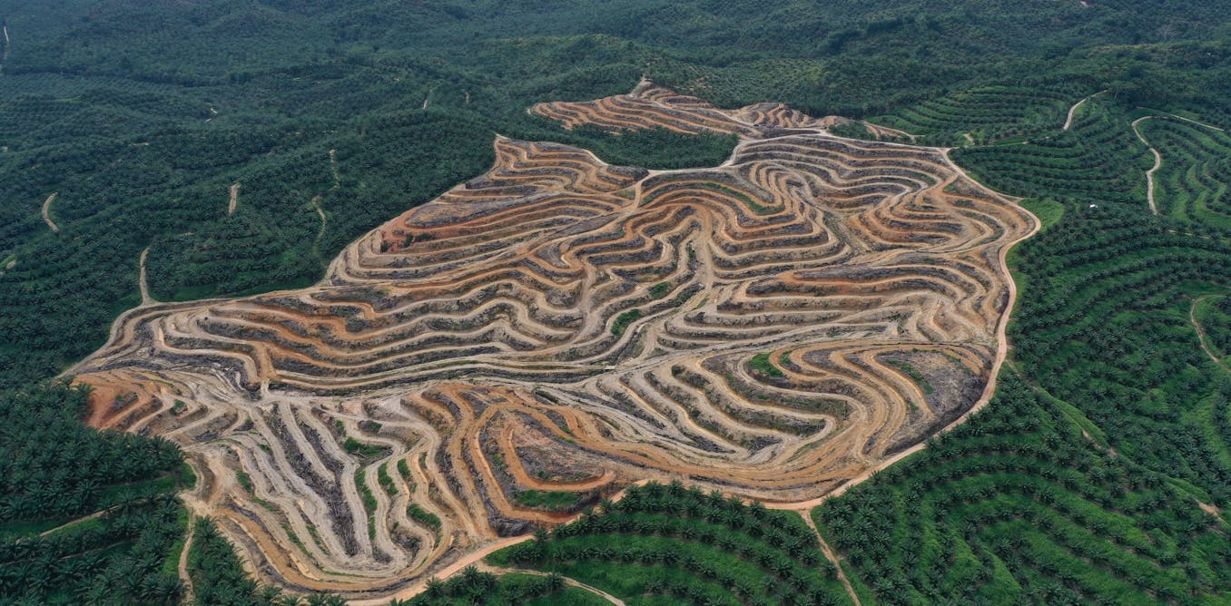We reviewed 48 ‘low carbon’ projects and found they were becoming part of the fossil fuel problem