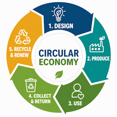A graphic showing a circle that says 1. Design, 2. Produce, 3. Use, 4. Collect and Return and 5. Recycle and Renew