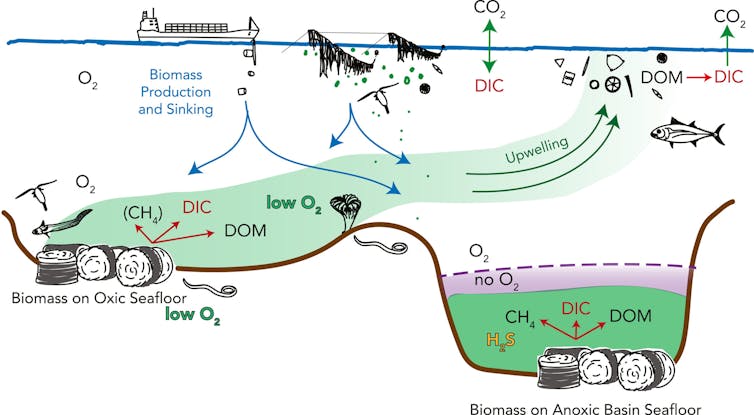 An illustration of carbon storage.