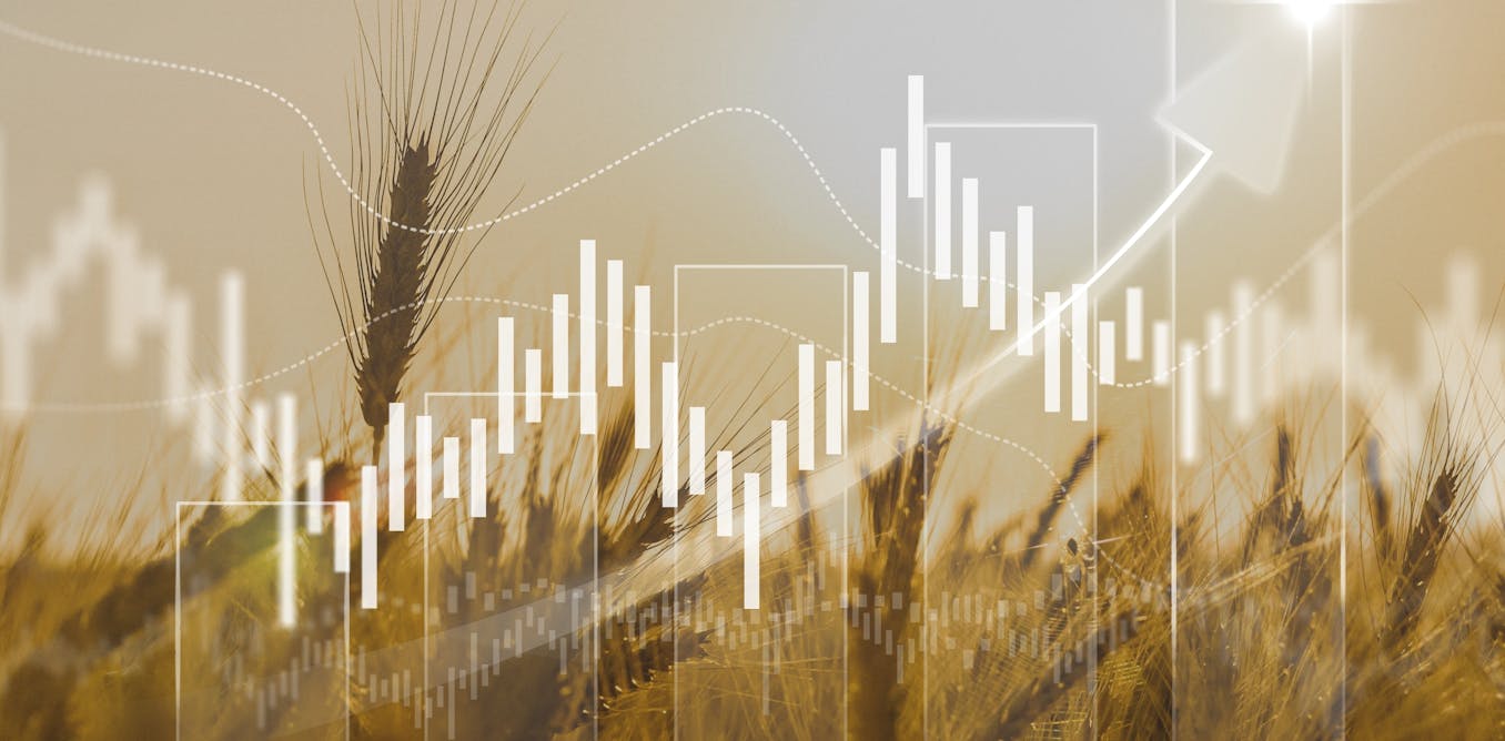 How the world can avoid millions going hungry when supply chains collapse