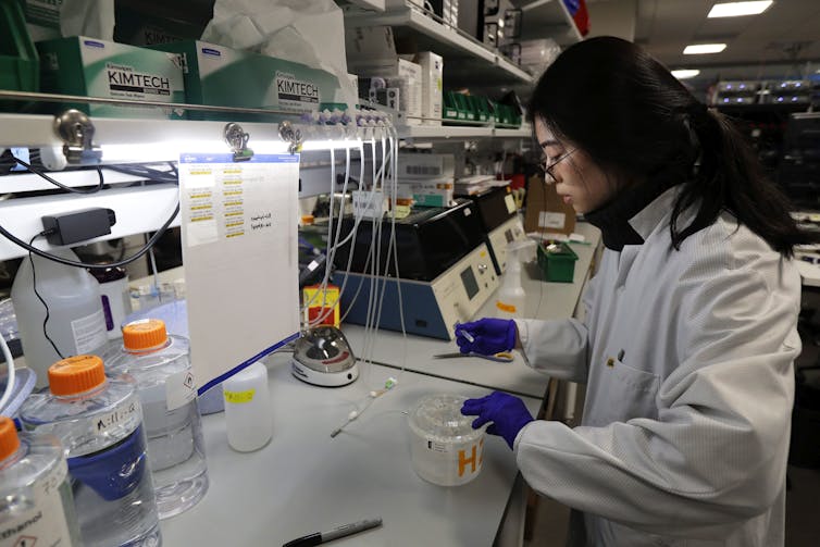 A woman scientist works in a lab.
