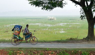 Who moves away when climate change hits? The hidden household politics of migration