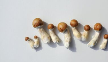 A single dose of psilocybin eased depression symptoms for months, our study found