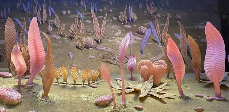 An underwater ecosystem featuring pink and purple fronds and small bug-like creatures on the mud.