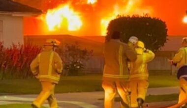 Rescue dog returns favour by saving man from Whakatāne house fire