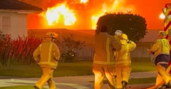 Rescue dog returns favour by saving man from Whakatāne house fire