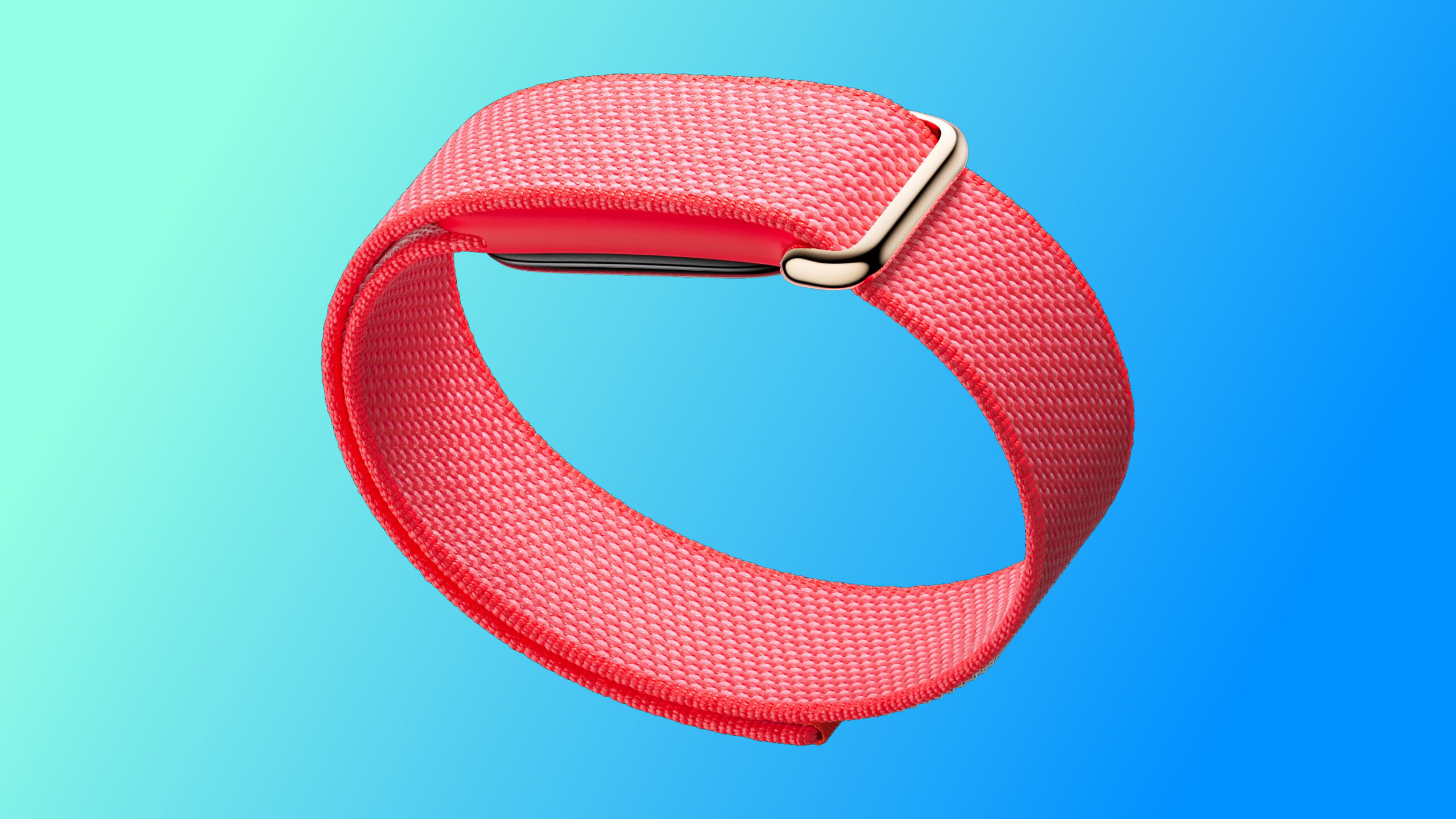 fitbit air official render berry blue background A render of the Google Fitbit Air in its Berry color, against a light blue background.