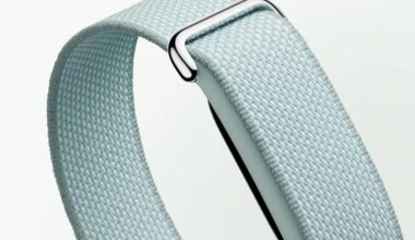 Google Fitbit Air preorders come with a second band for free
