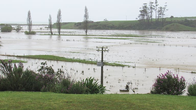 Flooding of the Waiaua Stream onto farmland.