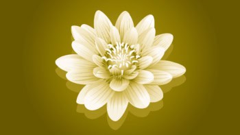 two-tone illustration of a flower