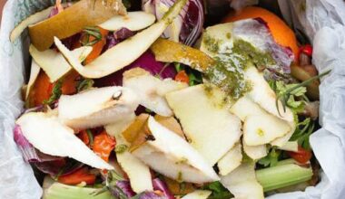 Experts claim households converting food waste to biogas could boost energy security
