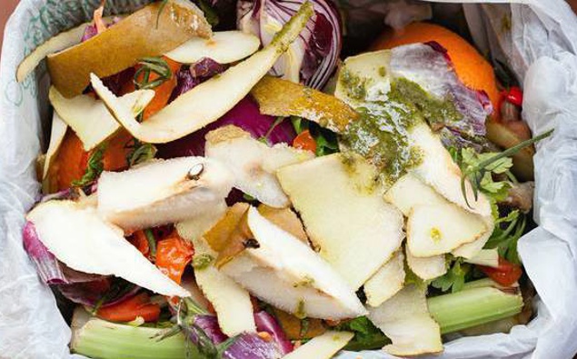Experts claim households converting food waste to biogas could boost energy security