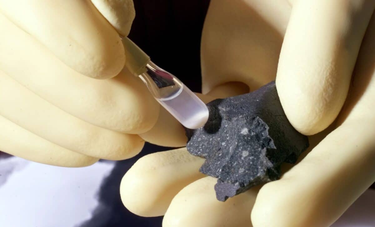 Fragment Of The Murchison Meteorite ©wikipediacarl Henderson