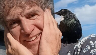Tickled to be visited by friendly tūī
