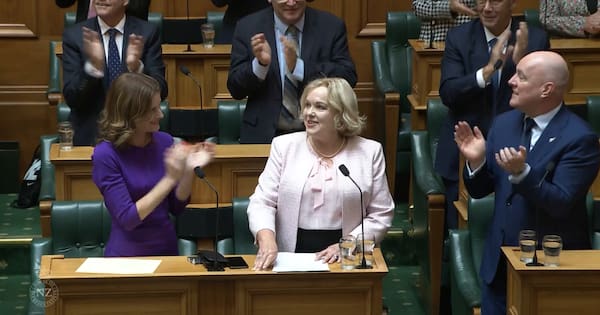 Ten MPs Judith Collins thanks for 'courage' in her farewell