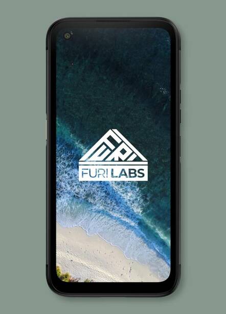 FuriPhone FLX1