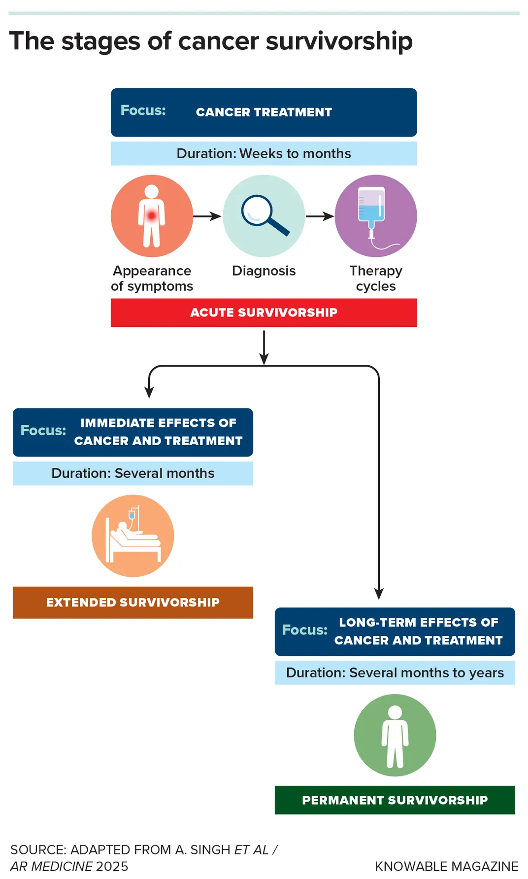 A flowchart graphic demonstrates the stages of cancer survivorship and the health outcomes to focus on during each time, including immediate and long-term effects of cancer treatment