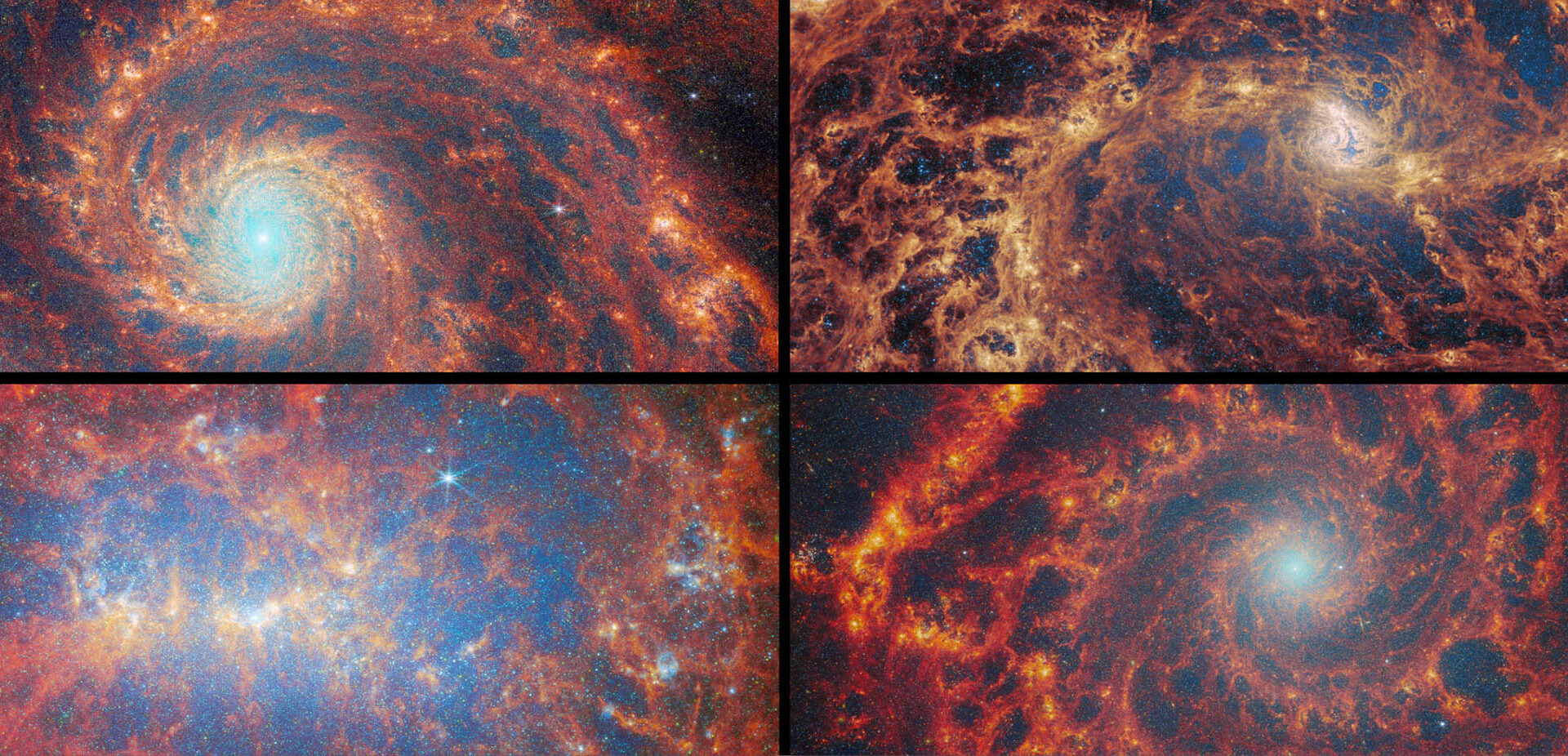 Webb telescope stares into the 'natal clouds' where stars are born