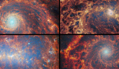 Webb telescope stares into the 'natal clouds' where stars are born