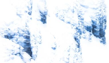 You'll Never Guess What Animal Is Hiding in This Prize-Winning Photo