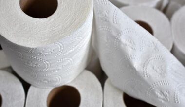 Toilet paper spill clogs Dunedin motorway