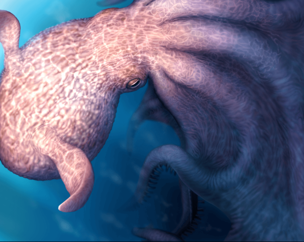 A real-life kraken monster? At 19m it was longer than a railway carriage, devilishly smart and able to crush prey with a devastatingly lethal bite...