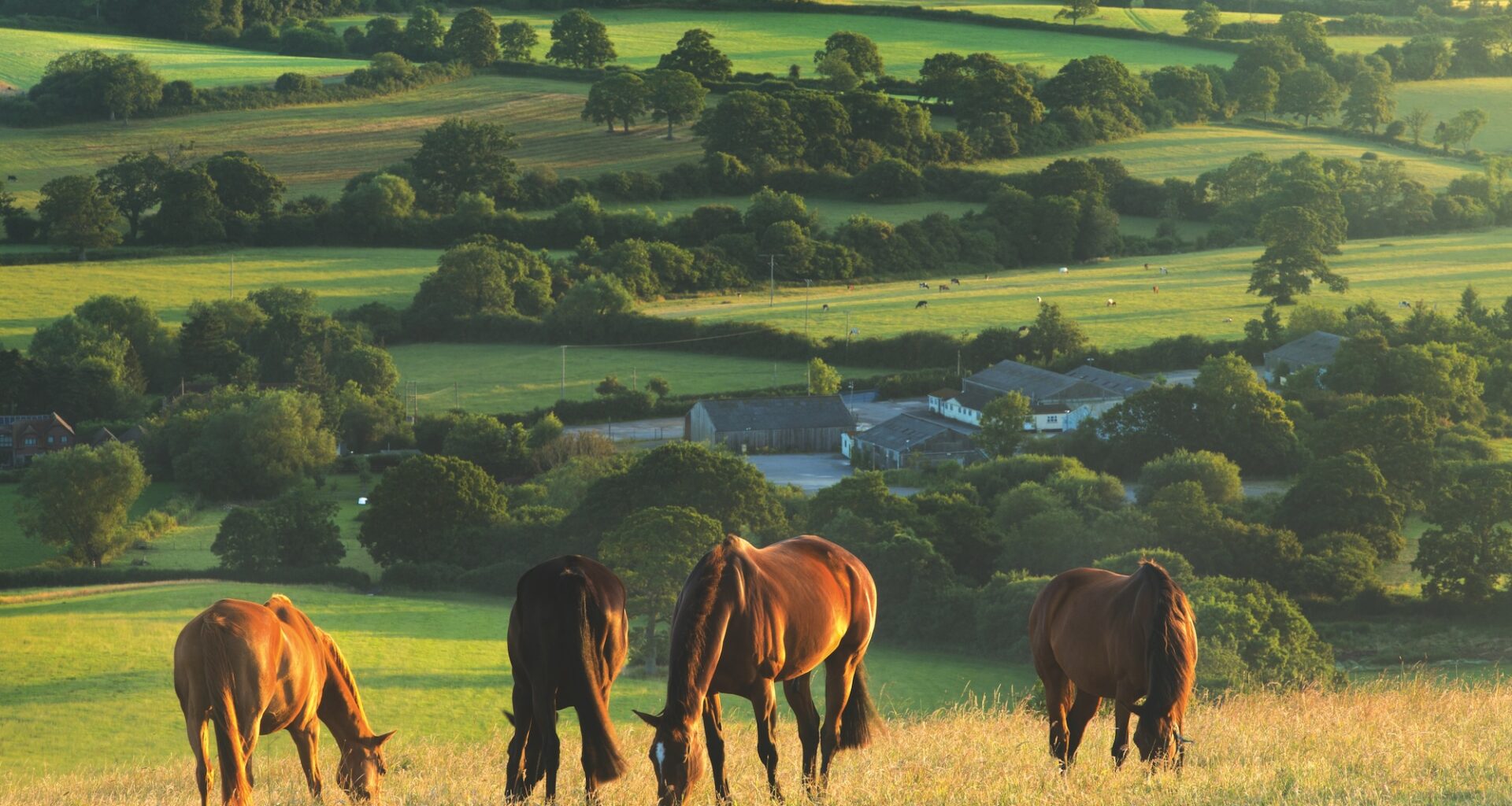 Planning and communication key for equestrians navigating new inheritance tax rules
