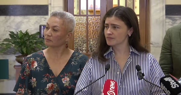Greens wants power companies to cap bill increases at inflation rate