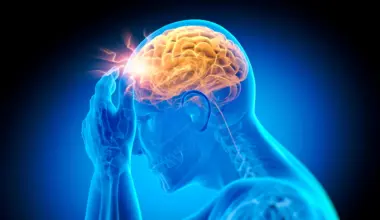 Scientists warn that current vitamin B12 guidelines may be putting your brain at risk