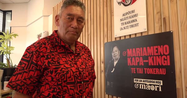 Hone Harawira awaits wife's approval to stand for Te Pāti Māori