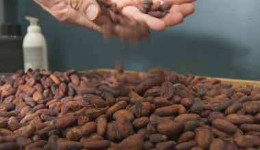 Locally made or mass-produced chocolate – what's the difference?