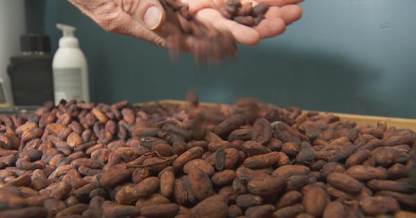 Locally made or mass-produced chocolate – what's the difference?
