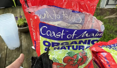 Gardener says 'organic' soil came with a rogue plastic bag inside: 'Is there anything safe these days?'