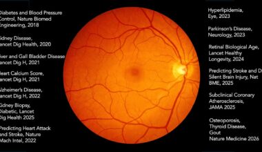 The Paradox of Medical AI Implementation