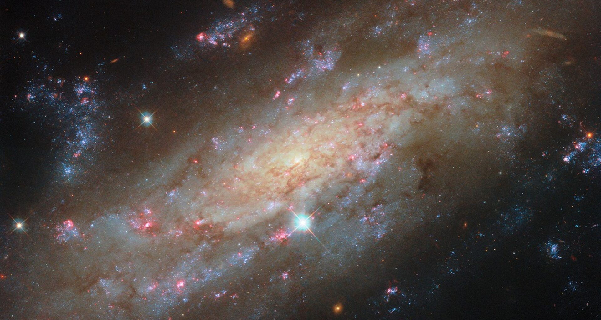 A close view of spiral galaxy that is tilted at an angle, so that its disk fills the view from corner to corner. Its disk is yellow near to the center and pale blue farther out, showing cooler and hotter stars, respectively. Thin brown clouds of dust, glowing pink spots of star formation, and sparkling blue patches filled with star clusters swirl through the galaxy. Behind it, small orange dots are very distant galaxies.