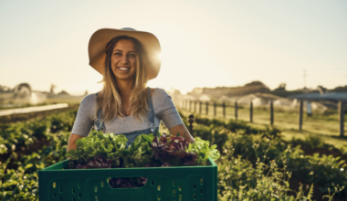 Reusable crate systems grow in NZ produce sector